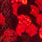 holo rot