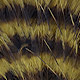 olive/barred black