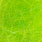 gaula green