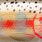 balsa juveline rainbow trout