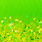 lime/chartreuse