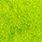 highlander green