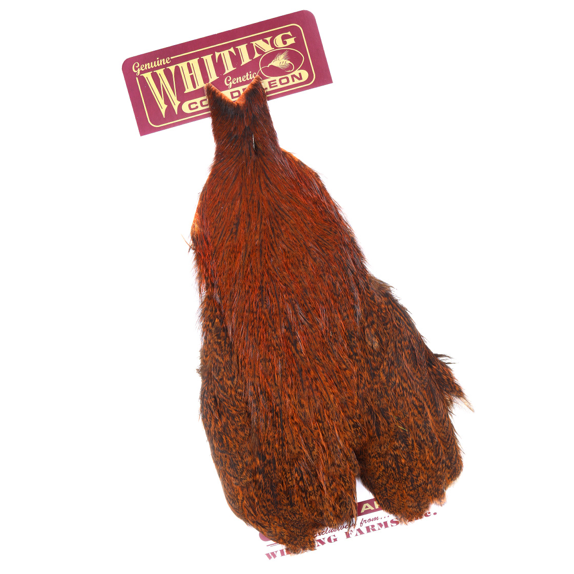 Whiting Coq de Leon Hen Cape
