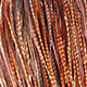 barred dark ginger