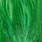 white dyed highlander green
