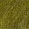 golden olive