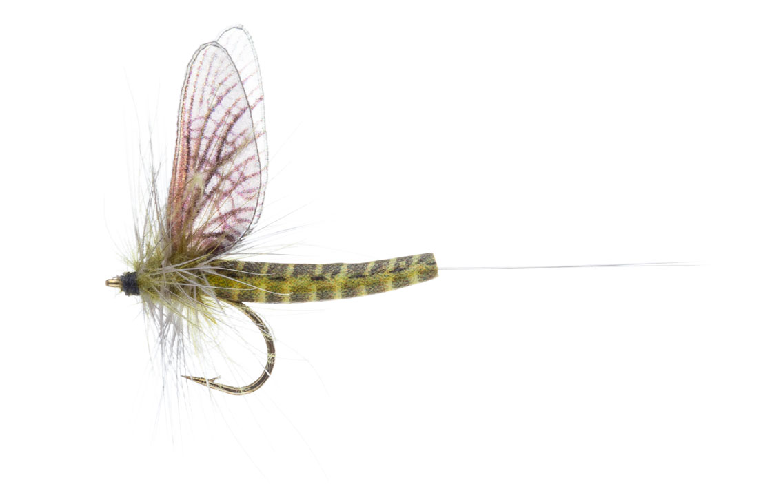 15922_Vania-Realistic-Mayfly-Green-Srake-Western-CDC Vania Realistic Mayfly Green Drake Western CDC Trockenfliege
