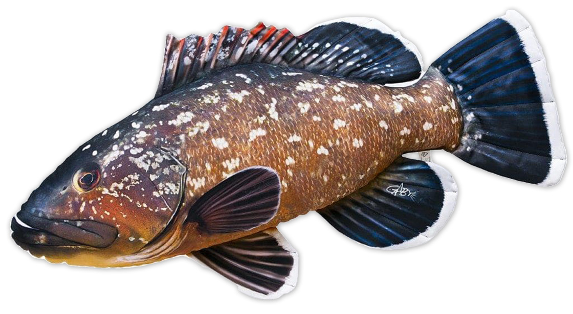 P-29200_Fischkissen_Kuscheltier_Grouper_100cm_ganz Fischkissen Kuscheltier Grouper 100cm