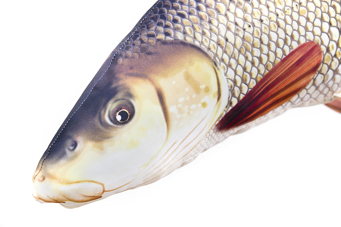 P-29178_Fischkissen_Kuscheltier_Barbe_80cm_2