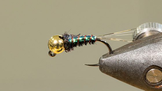 Pearly Flashback Pheasant Tail Jig Pearly Flashback Pheasant Tail Jig