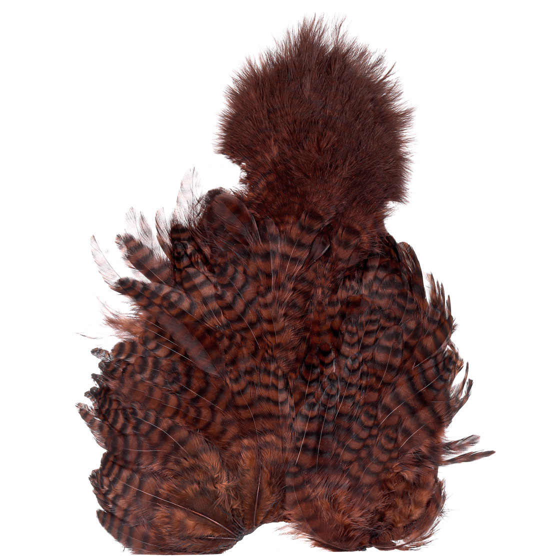 grizzly dyed coachman brown