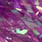 18 violet