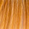 ginger