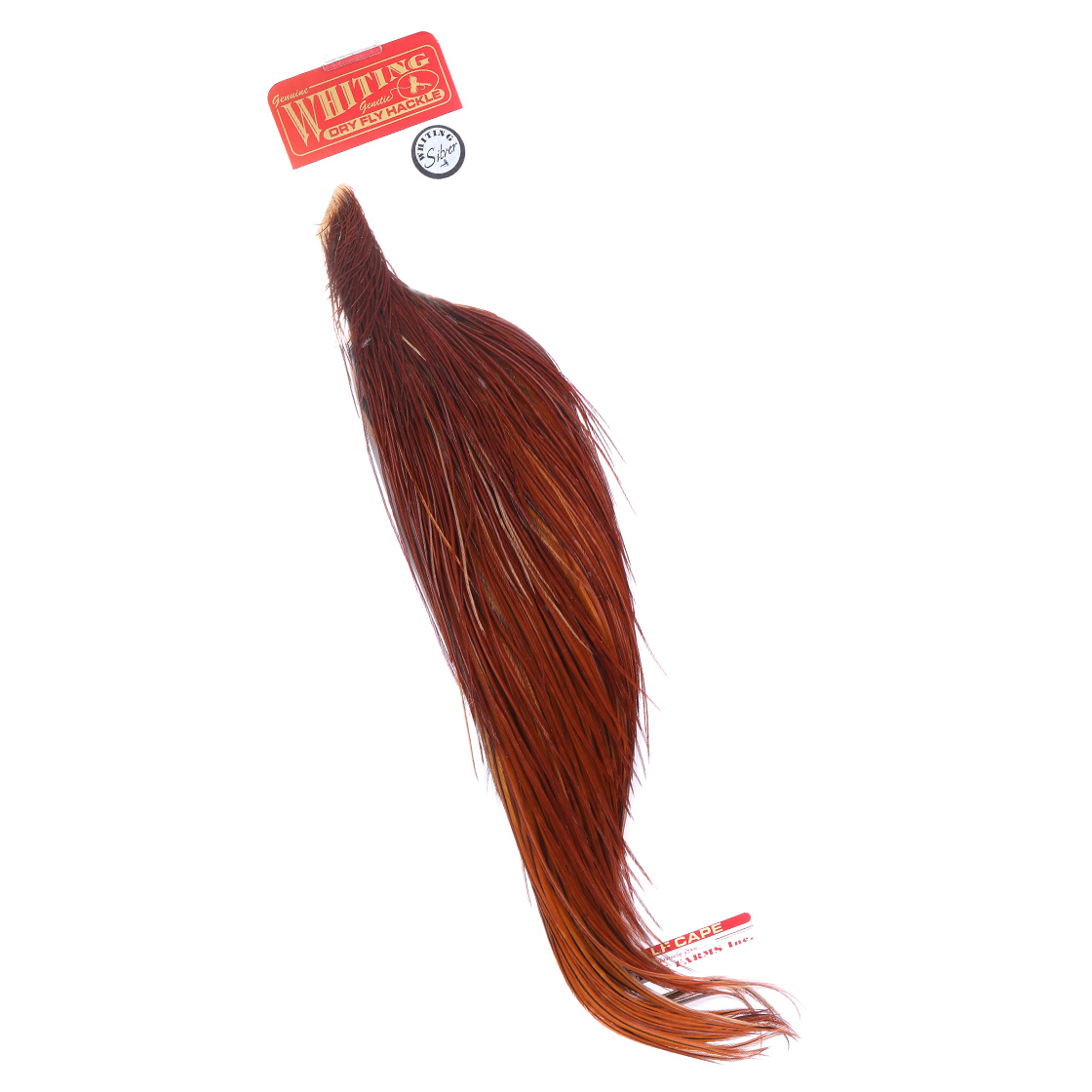 Whiting Silver 1/2 Cape Whiting Silver 1/2 Cape