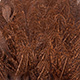 speckled medium ginger