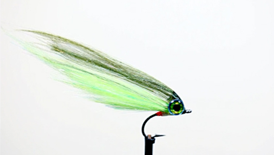 Bindevideo: Angel Silk Streamer Bindevideo: Angel Silk Streamer