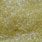 light olive
