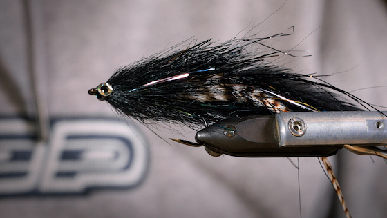 Bindevideo 'Glitter Goby' Hecht-Streamer mit Paulo Hoffmann