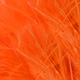 fluo orange