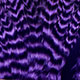 grizzly dyed purple