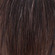 dark brown dun