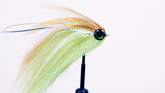 Bindevideo: Flat Wing Streamer Bindevideo: Flat Wing Streamer