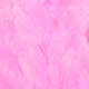 shell pink