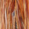barred dark ginger
