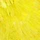 white dyed yellow