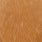 medium ginger