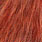 orange/brown