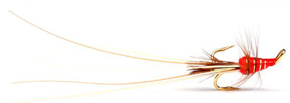 Guideline Lachsfliege - Red Frances Golden Treble