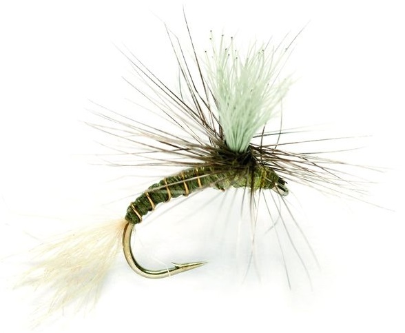 Fulling Mill Trockenfliege - Goddard Emerger Olive