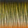 gold schwarz orange