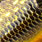 pike