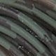 olive black barred