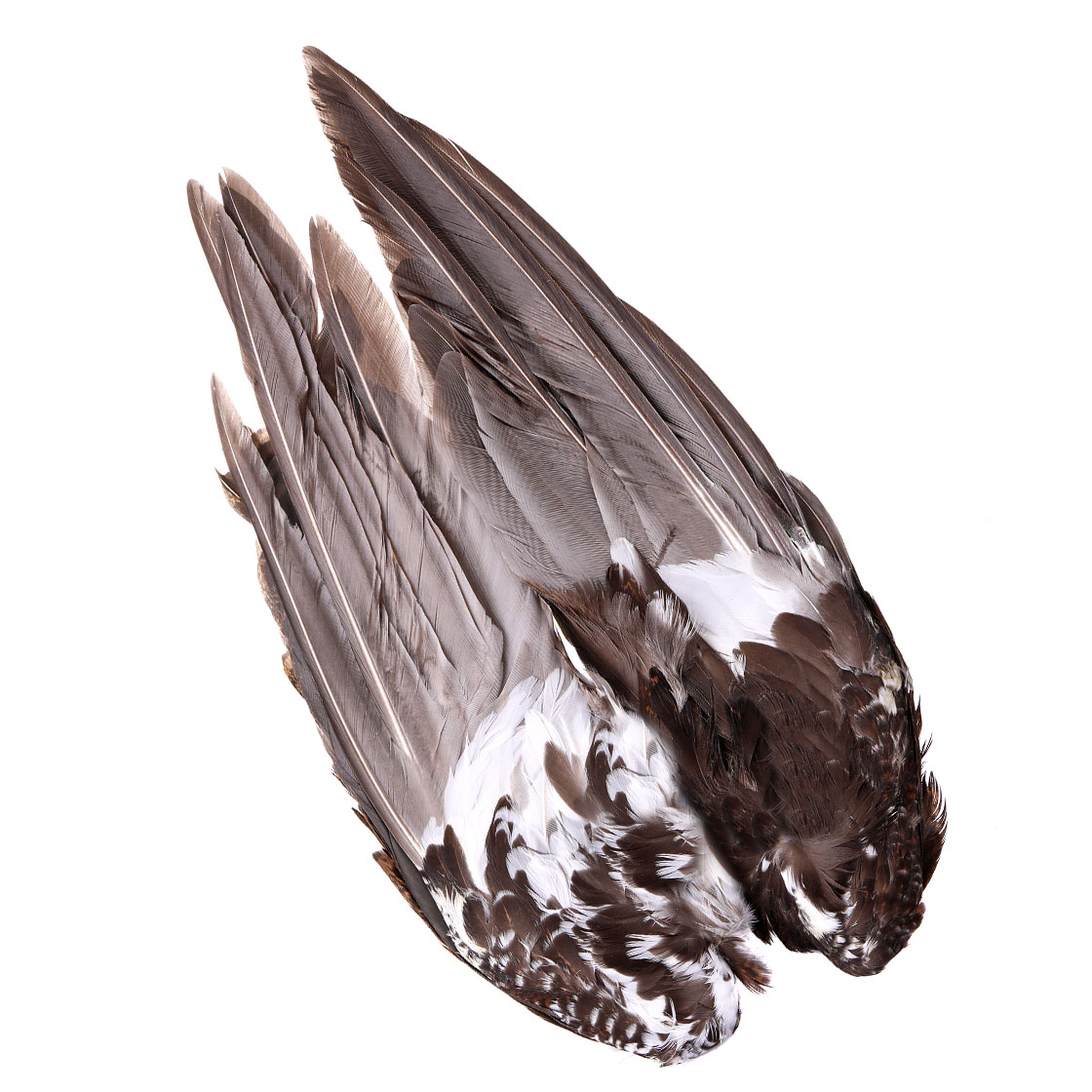 P-13347_Veniard-Grouse-Wings_foto-2