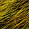 fluo yellow