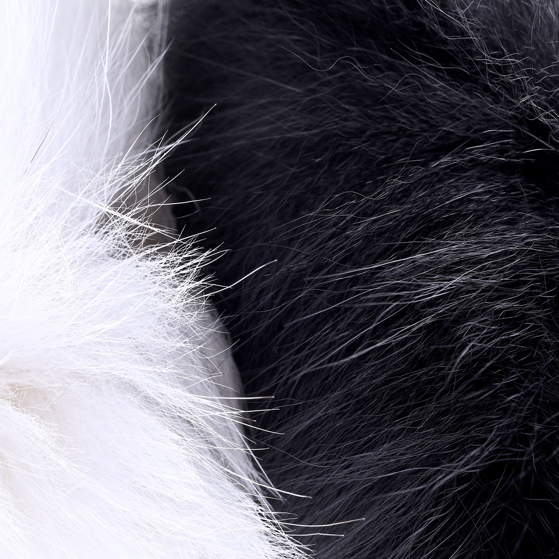 P-20705_Future-Fly-Shadow-Fox-Fuchs_foto-2