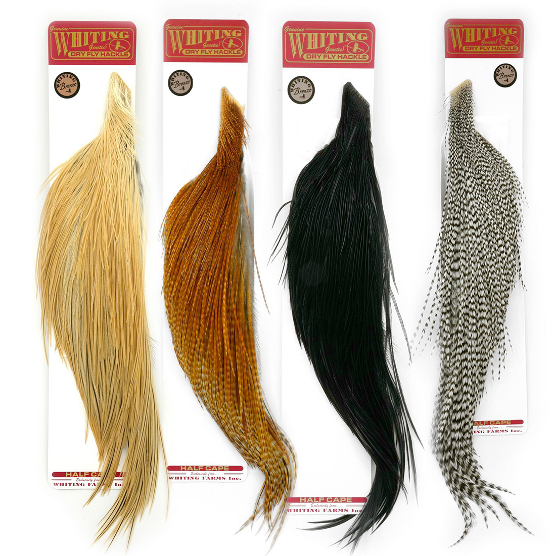 Whiting-Bronze-1-2-Cape Whiting Bronze 1/2 Cape