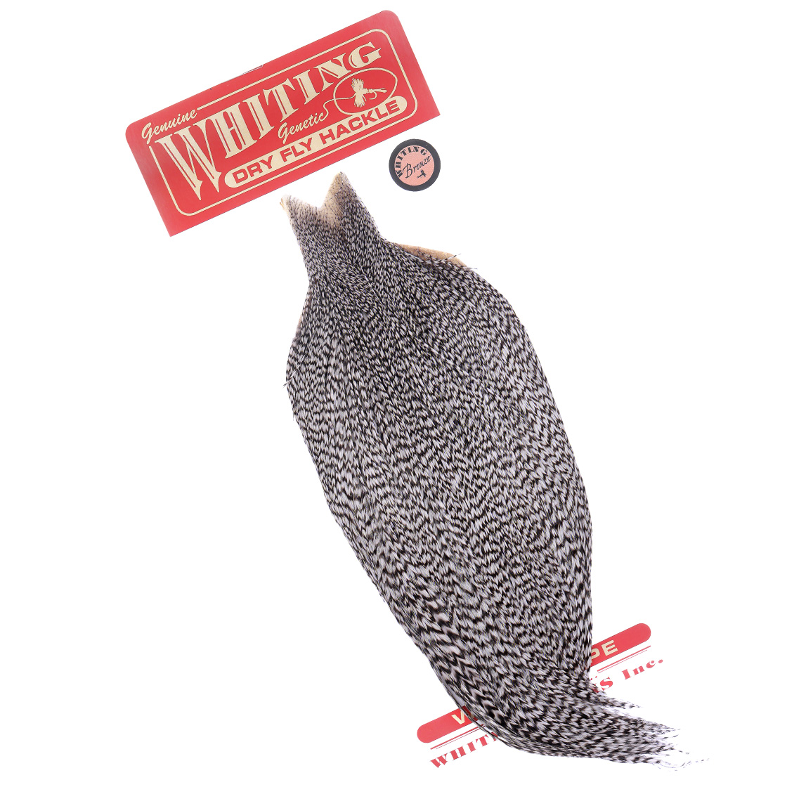 Whiting Bronze Cape
