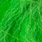 highlander green