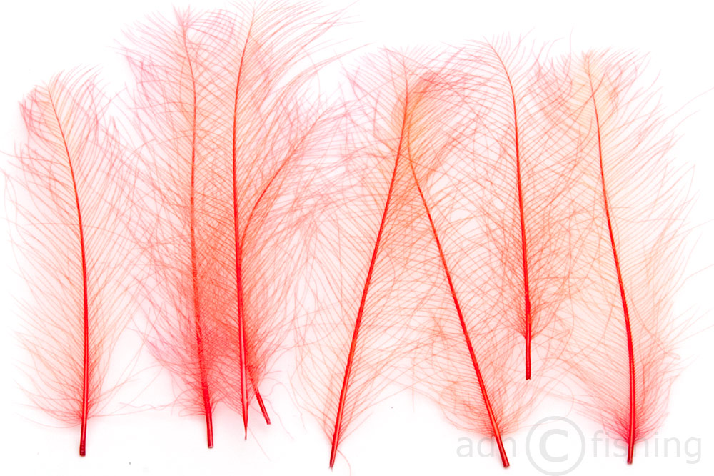 fluo red