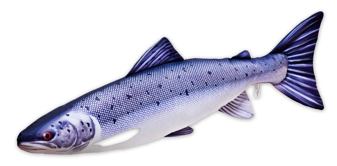 P-29177_Fischkissen-Kuscheltier_Atlantischer_Lachs_90cm Fischkissen Kuscheltier Atlantischer Lachs 90cm