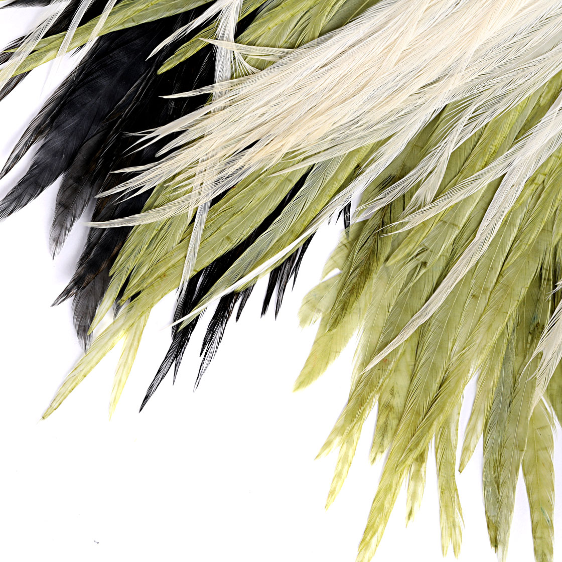 P-21022_ewing_dryfly_saddle_grade1_titel