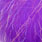 09 electric grape
