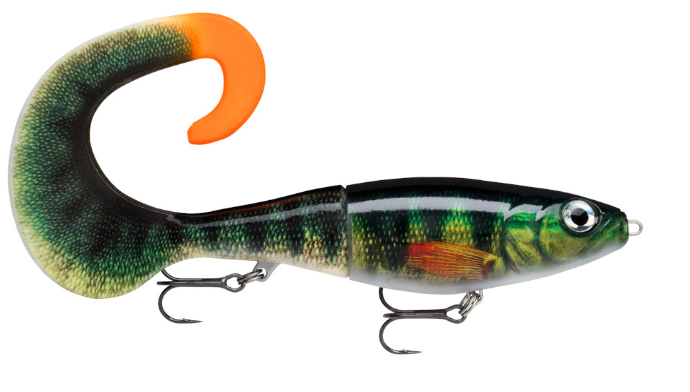 Live Perch