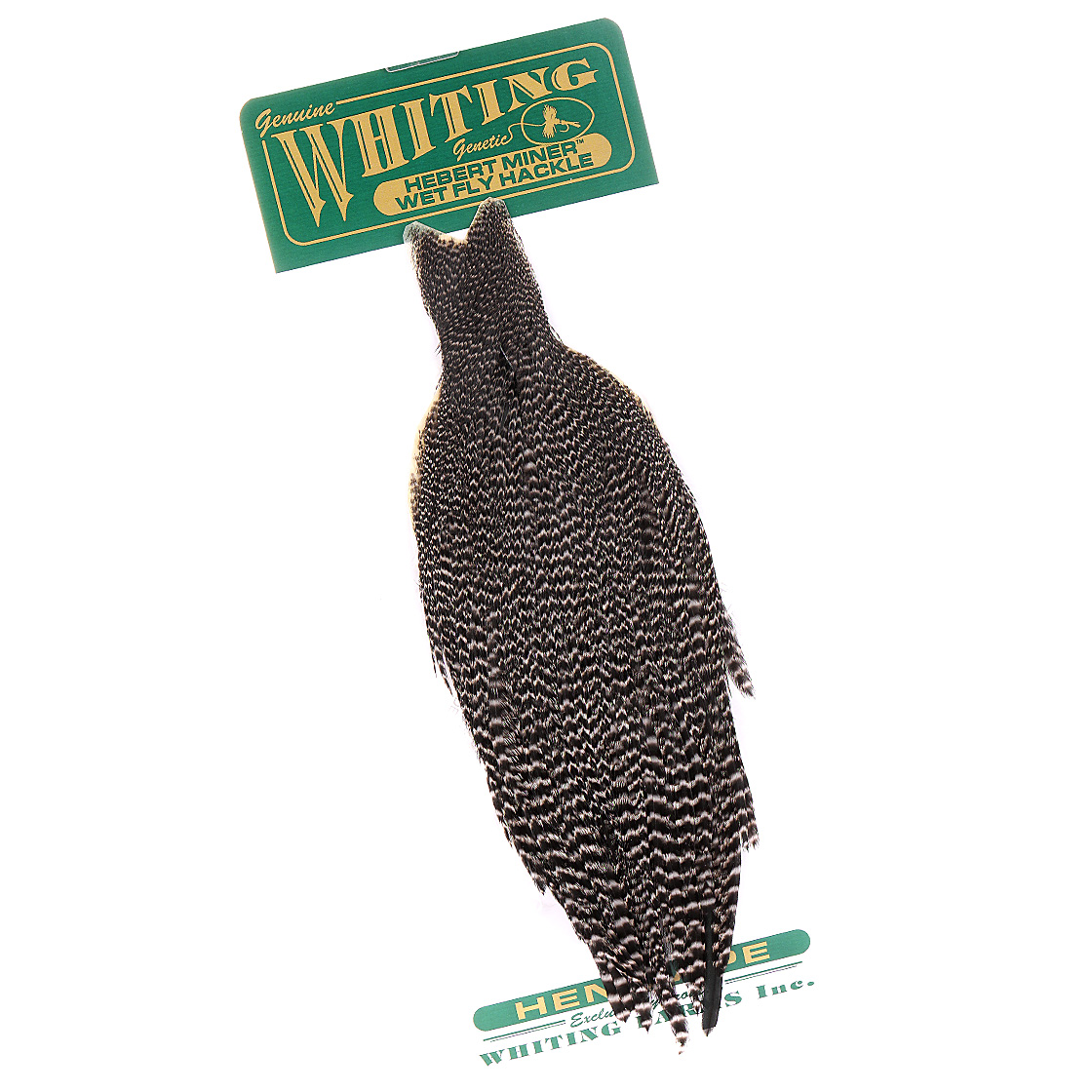 Whiting Hebert Hen Cape