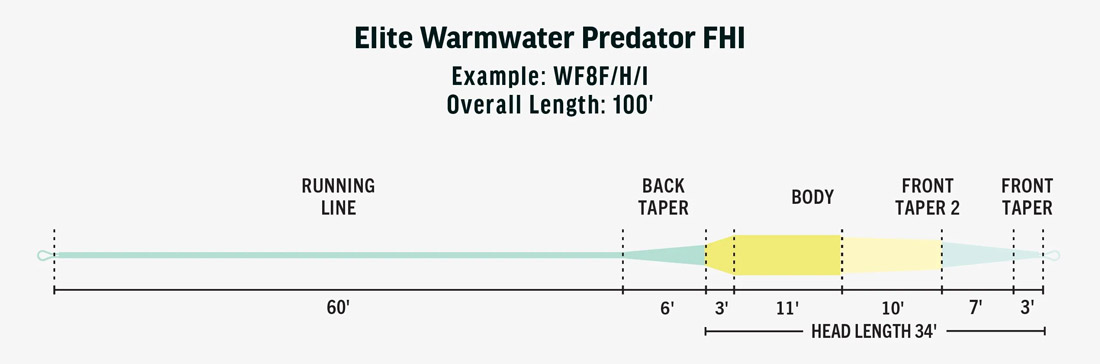 Rio_Elite_Warmwater_Predator_Taper_FHI