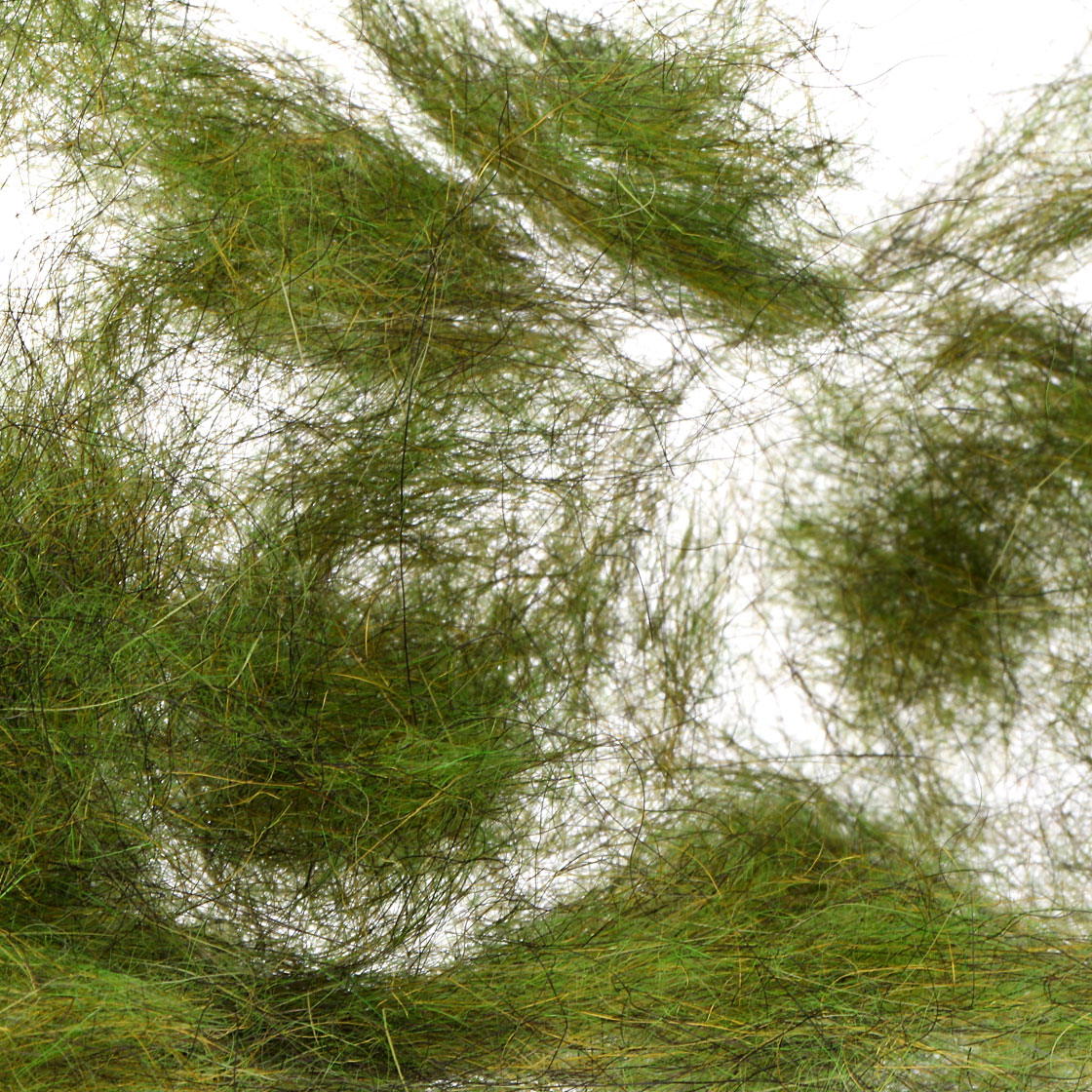 P-24438-4_fulling-mill_thorax-dubbing_caddis-green Caddis Green